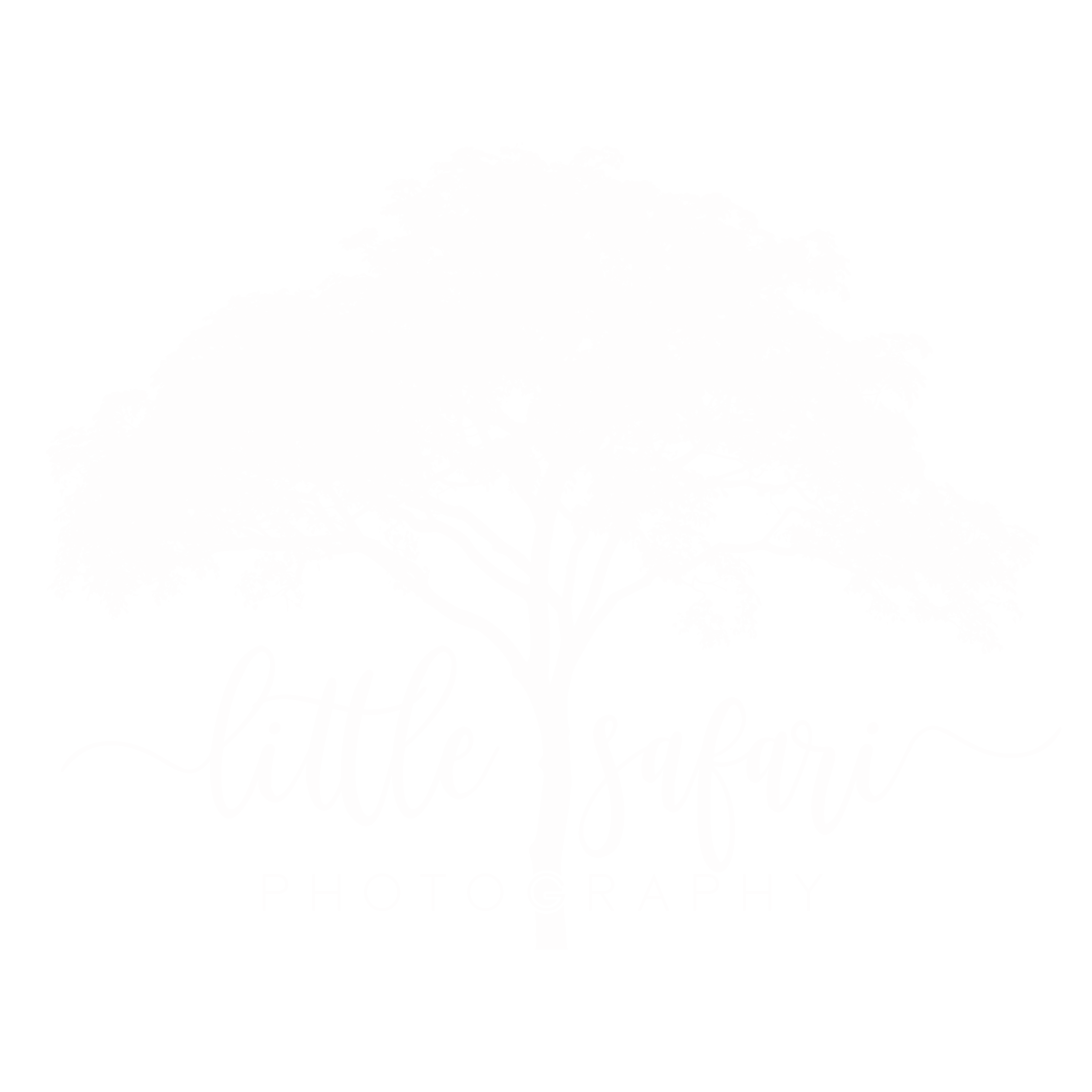 Little Safari Photography